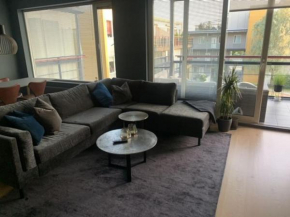 Pen og stor leilighet ved Trondheim sentrum